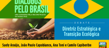 Diretriz Estratégica e Transição Ecológica| Diálogos pelo Brasil